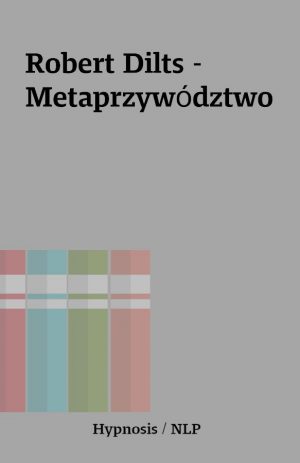 Robert Dilts – Metaprzywództwo