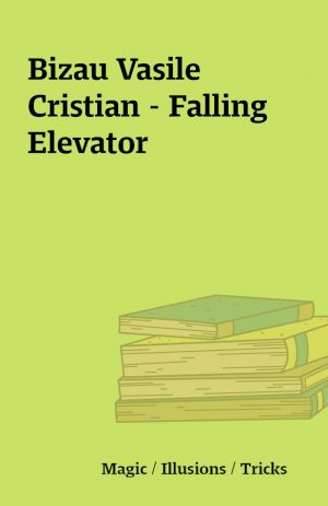 Bizau Vasile Cristian – Falling Elevator