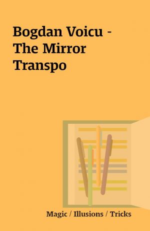 Bogdan Voicu – The Mirror Transpo