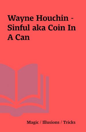 Wayne Houchin – Sinful aka Coin In A Can