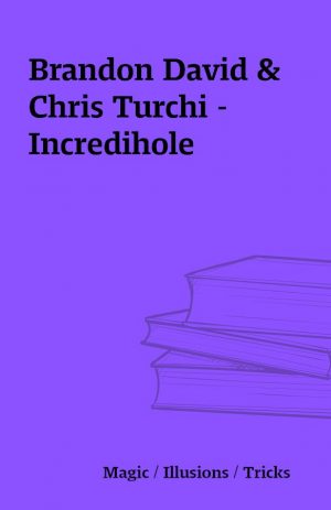 Brandon David & Chris Turchi – Incredihole