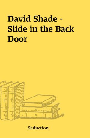 David Shade – Slide in the Back Door